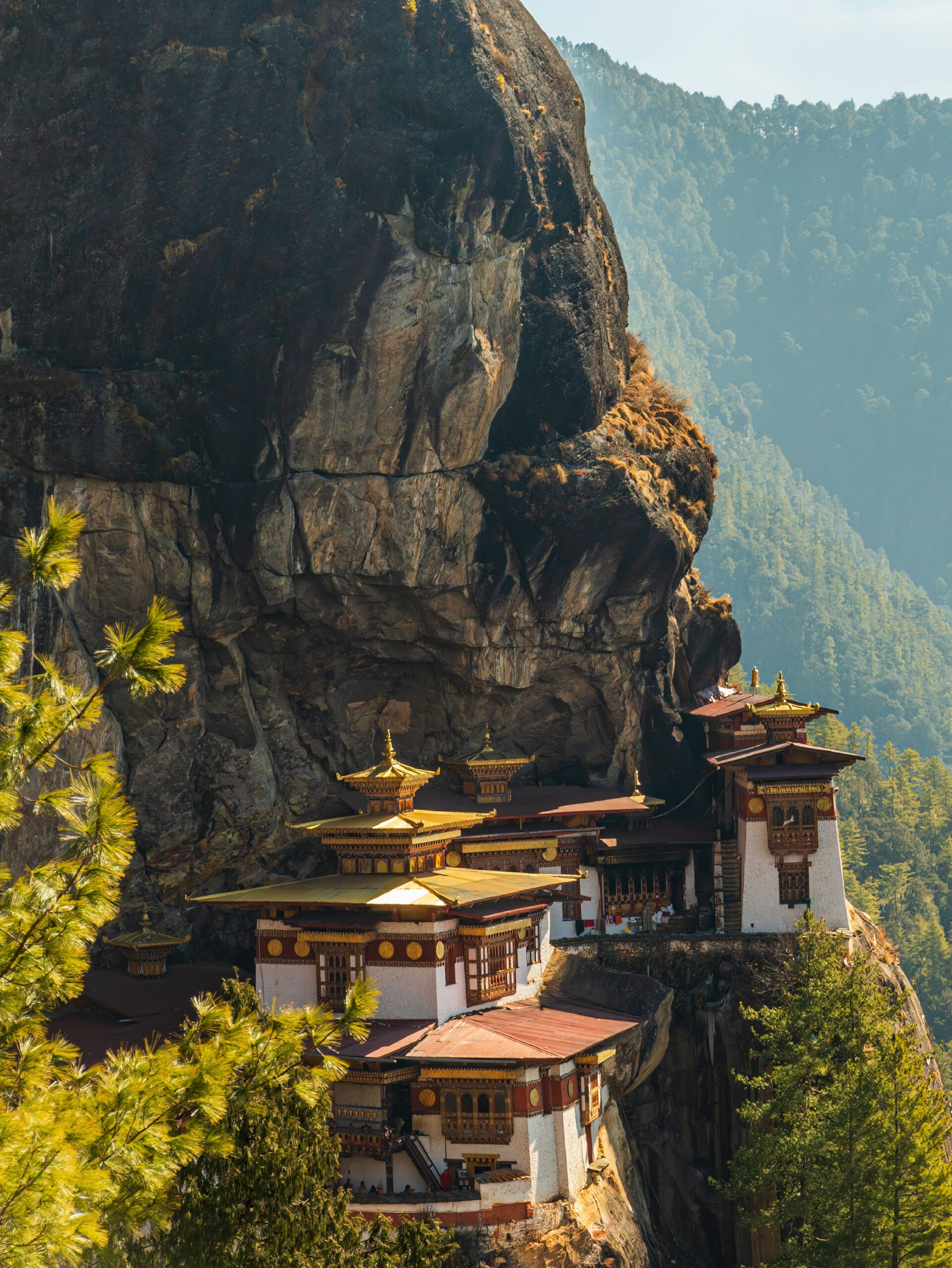Contact Us for Bhutan Tour